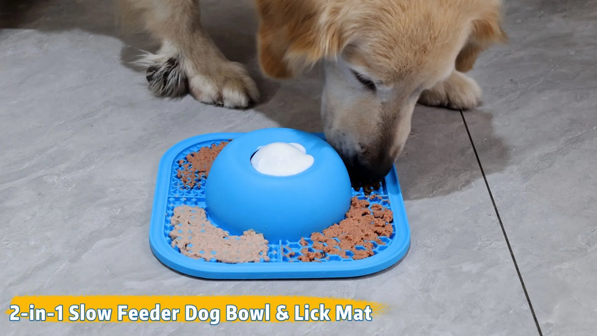 Slow Feeder Dog Bowl With Lick Mat And Rolling Ball