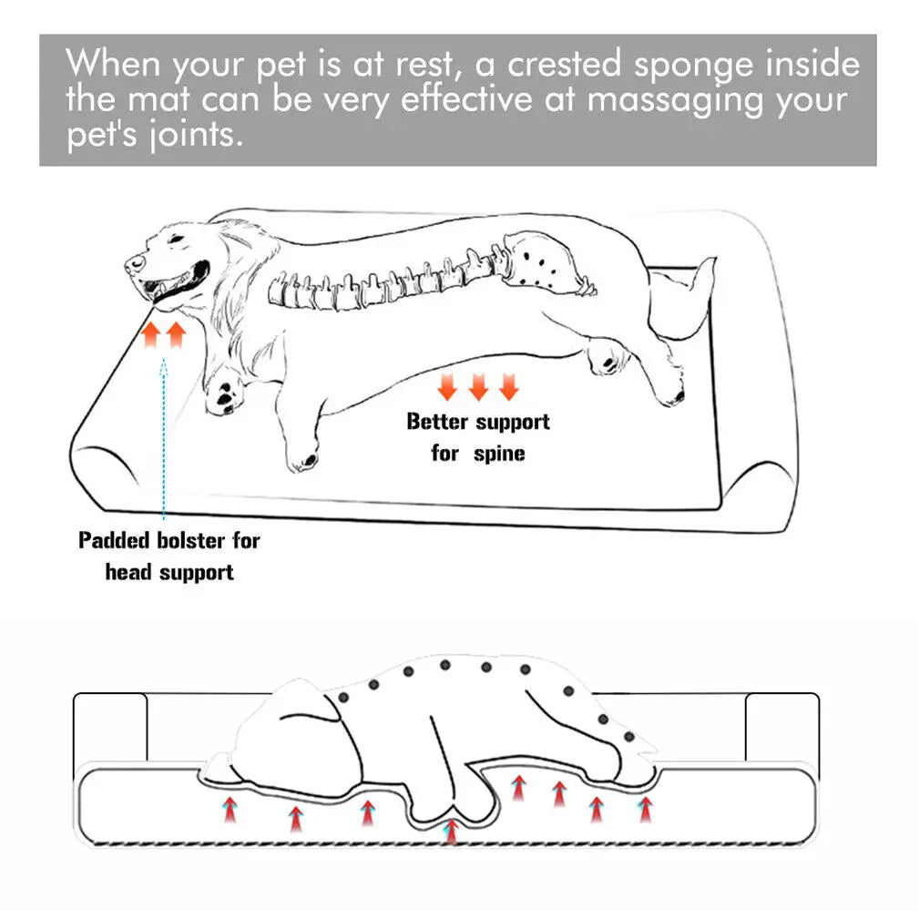 BINGOPAW Orthopedic Dog Bed With Removable Washable Cushion Cover