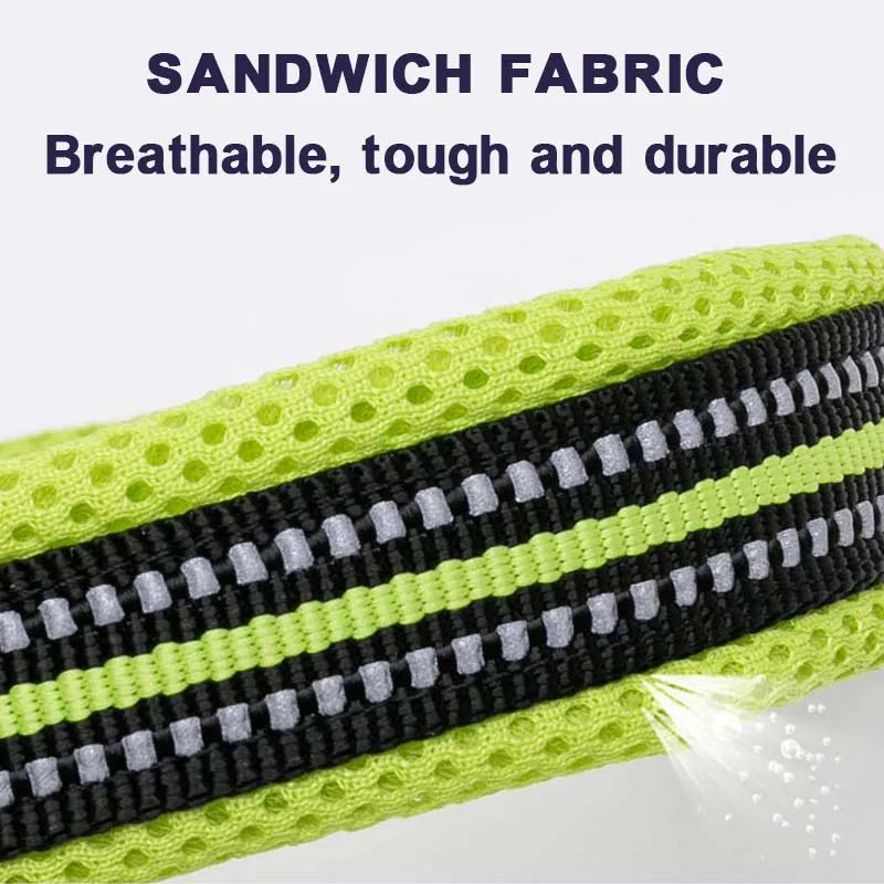 Winhyepet Padded Nylon Dog Collar With Secure Buckle For Walking
