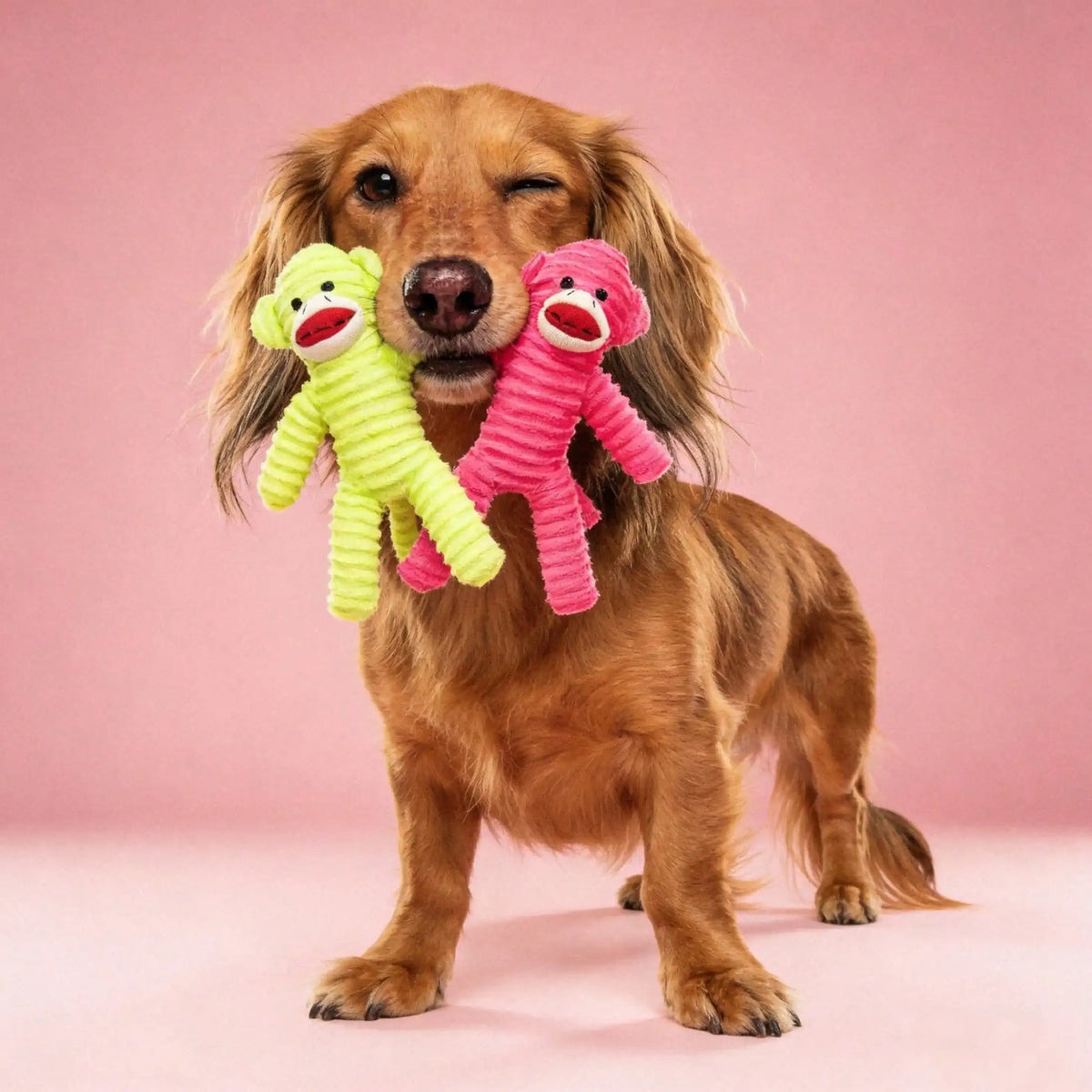 Armadillo Squeaky Plush Dog Chew Toy for Teeth Cleaning and Play