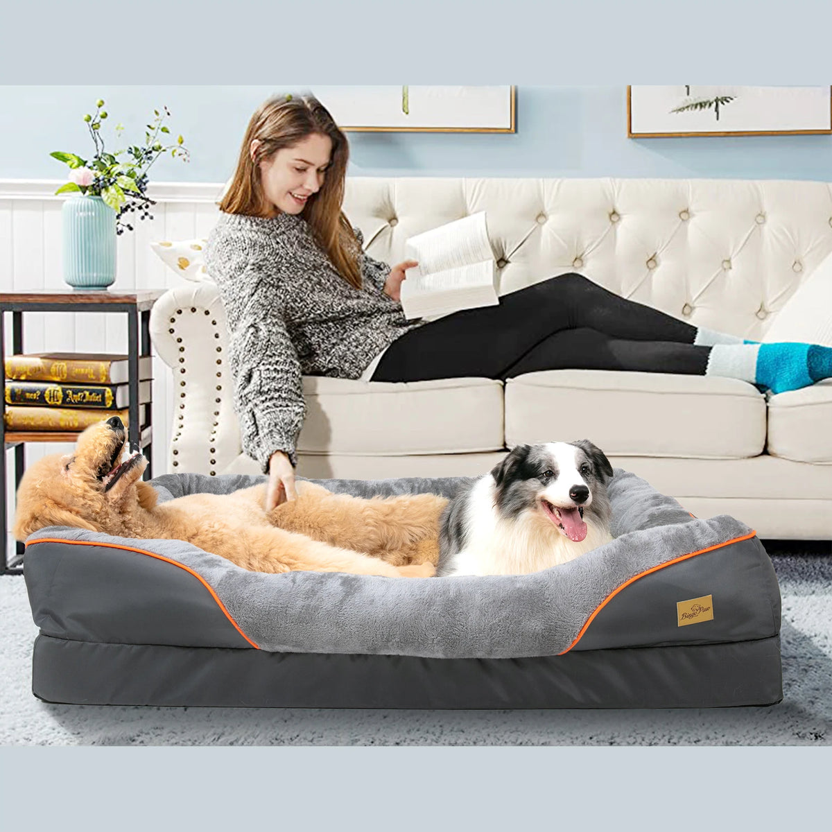 BINGOPAW Washable Waterproof Foam Dog Bed With Removable Fleece Cover