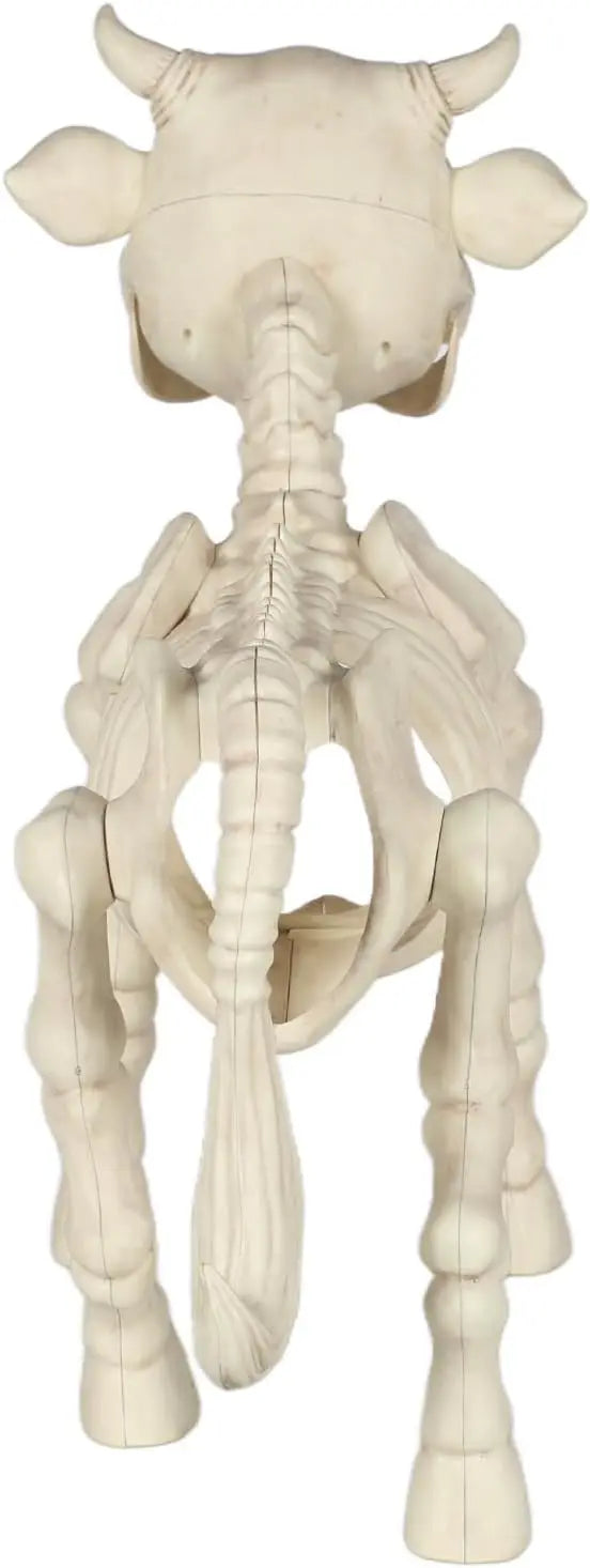 Halloween Skeleton Cow Decor With Realistic Bone Appearance for Indoor Use