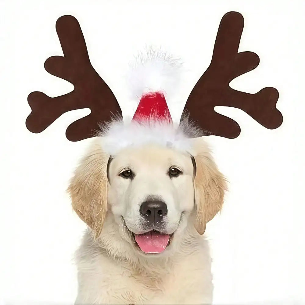Halloween Ghost Pet Cape And Reindeer Antlers Costume Set