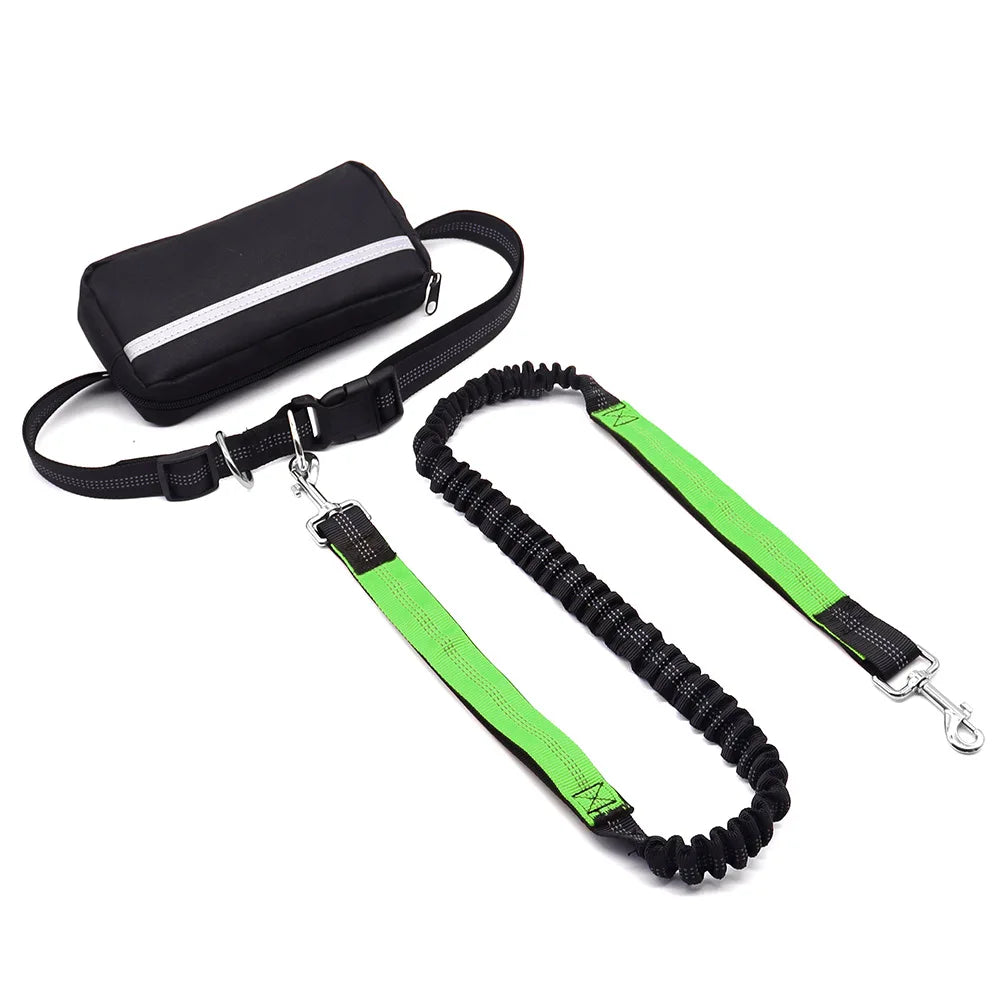 Hands Free Dog Leash With Waist Belt And Zipper Pouch