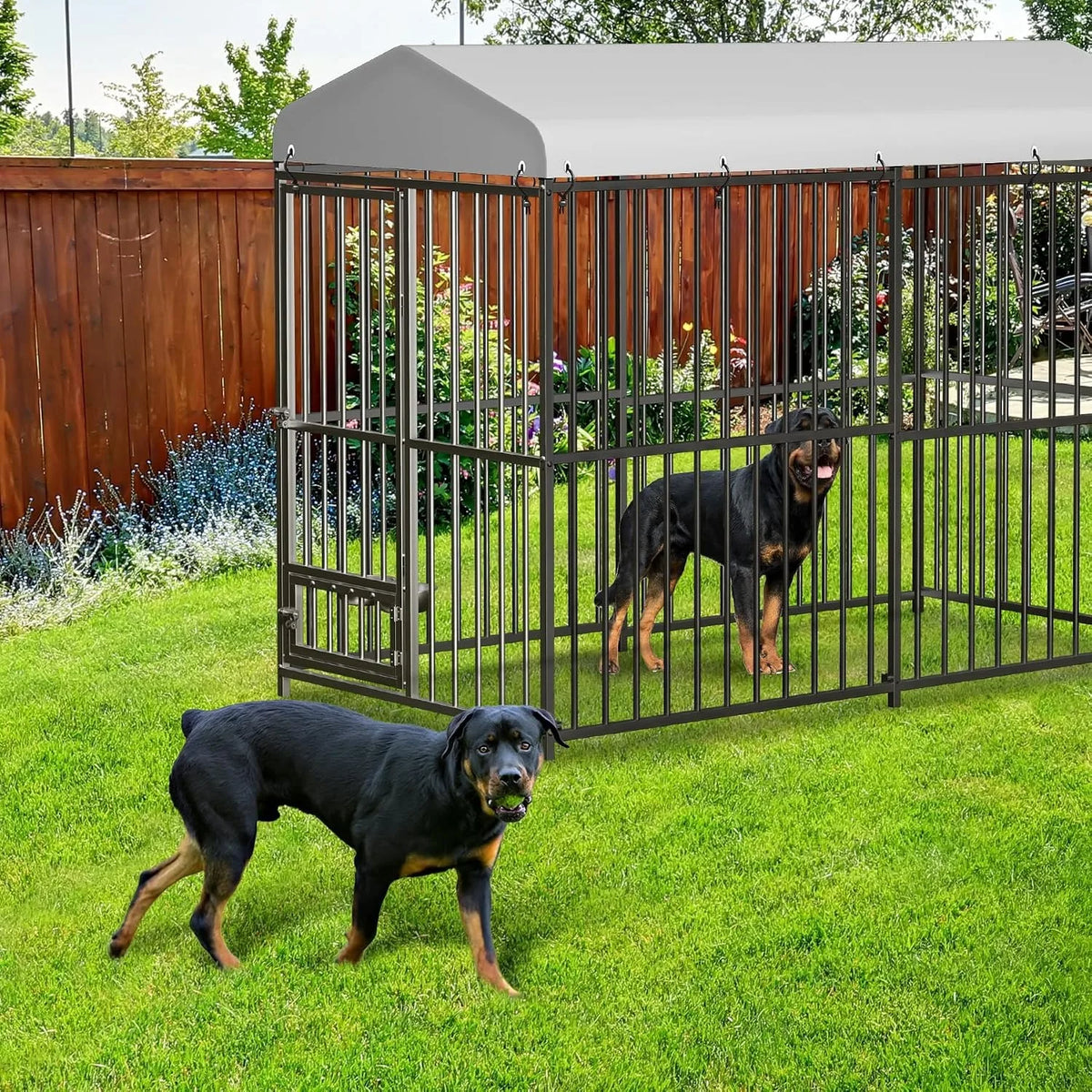 Outdoor Dog Kennel With Galvanized Steel Frame And Waterproof Roof