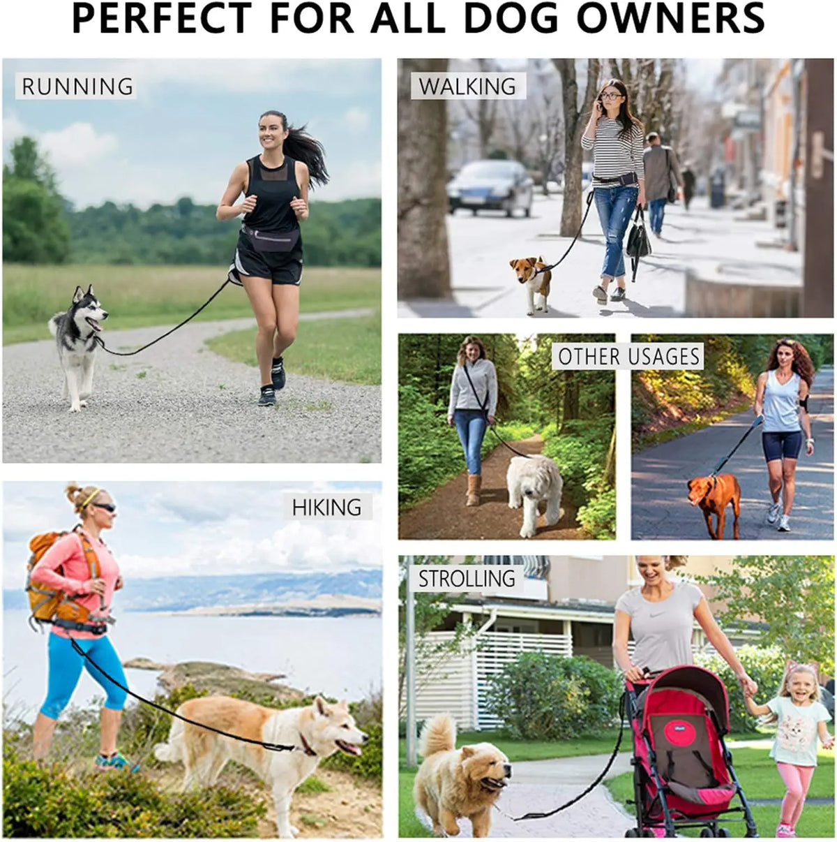 Hands Free Dog Leash With Waist Belt And Zipper Pouch