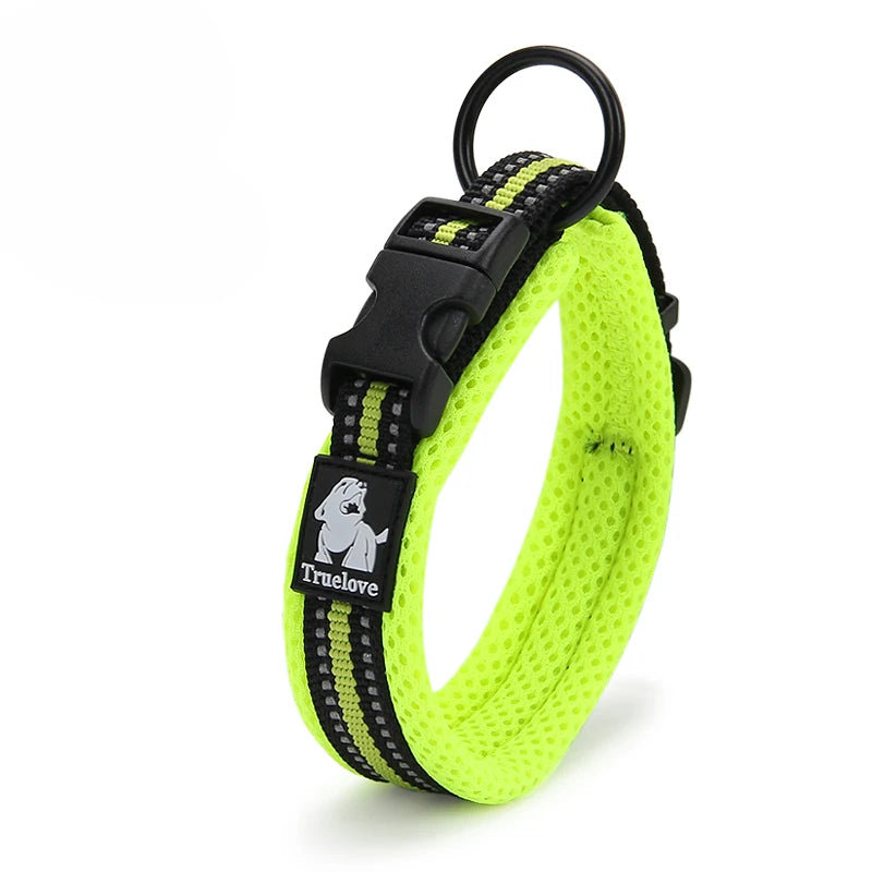 Winhyepet Padded Nylon Dog Collar With Secure Buckle For Walking