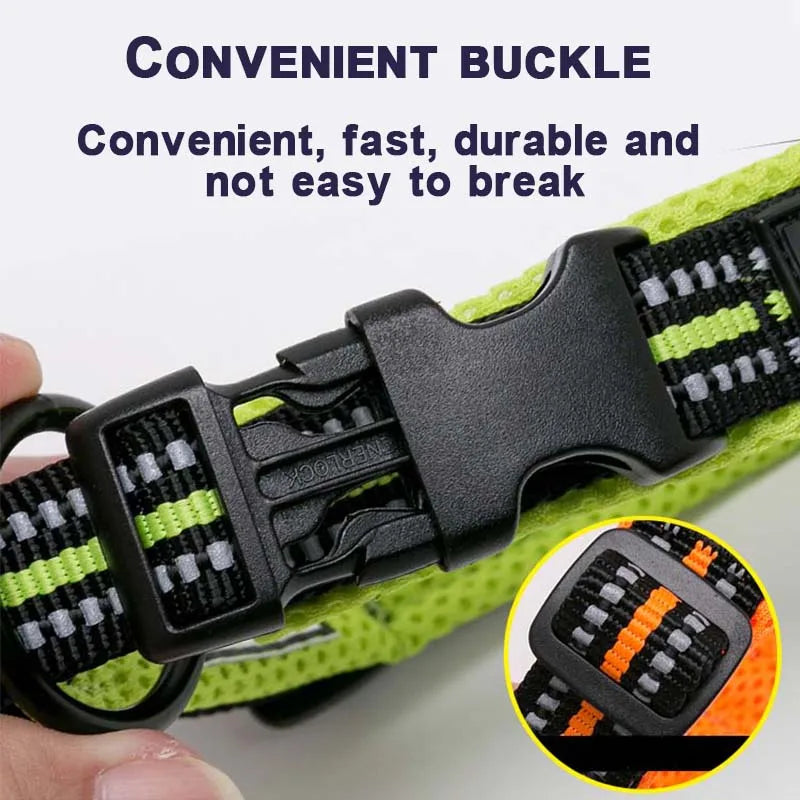 Winhyepet Padded Nylon Dog Collar With Secure Buckle For Walking