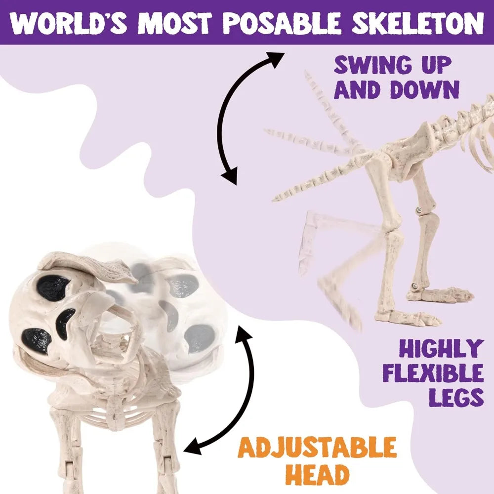 Posable Halloween Dog Skeleton Decoration With Movable Joints For Parties