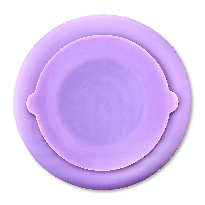 Silicone Slow Feeder Bowl for Pets for Healthier Mealtime