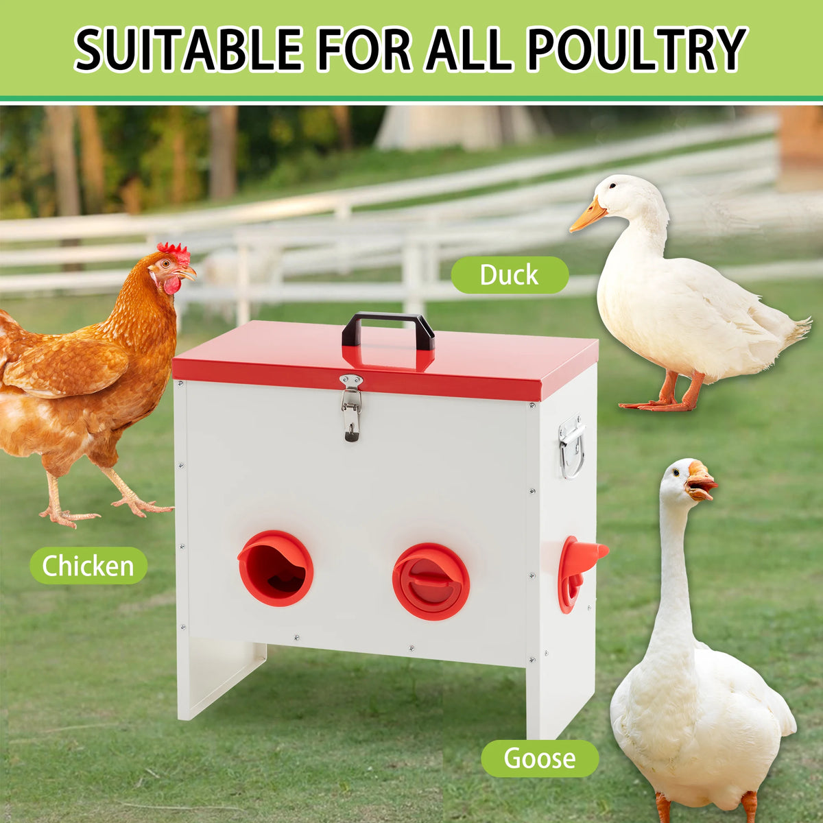 Rat Proof Metal Poultry Feeder With No Waste Design