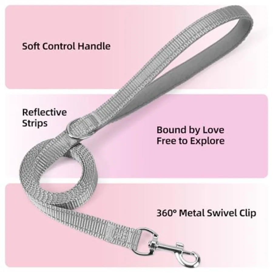 Sparkly Reflective Step In Dog Harness and Leash Set for Puppies