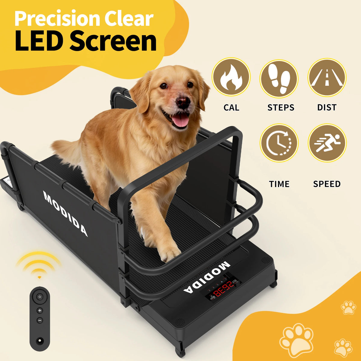 MODIDA Indoor Dog Treadmill for Adjustable Speed Home Exercise