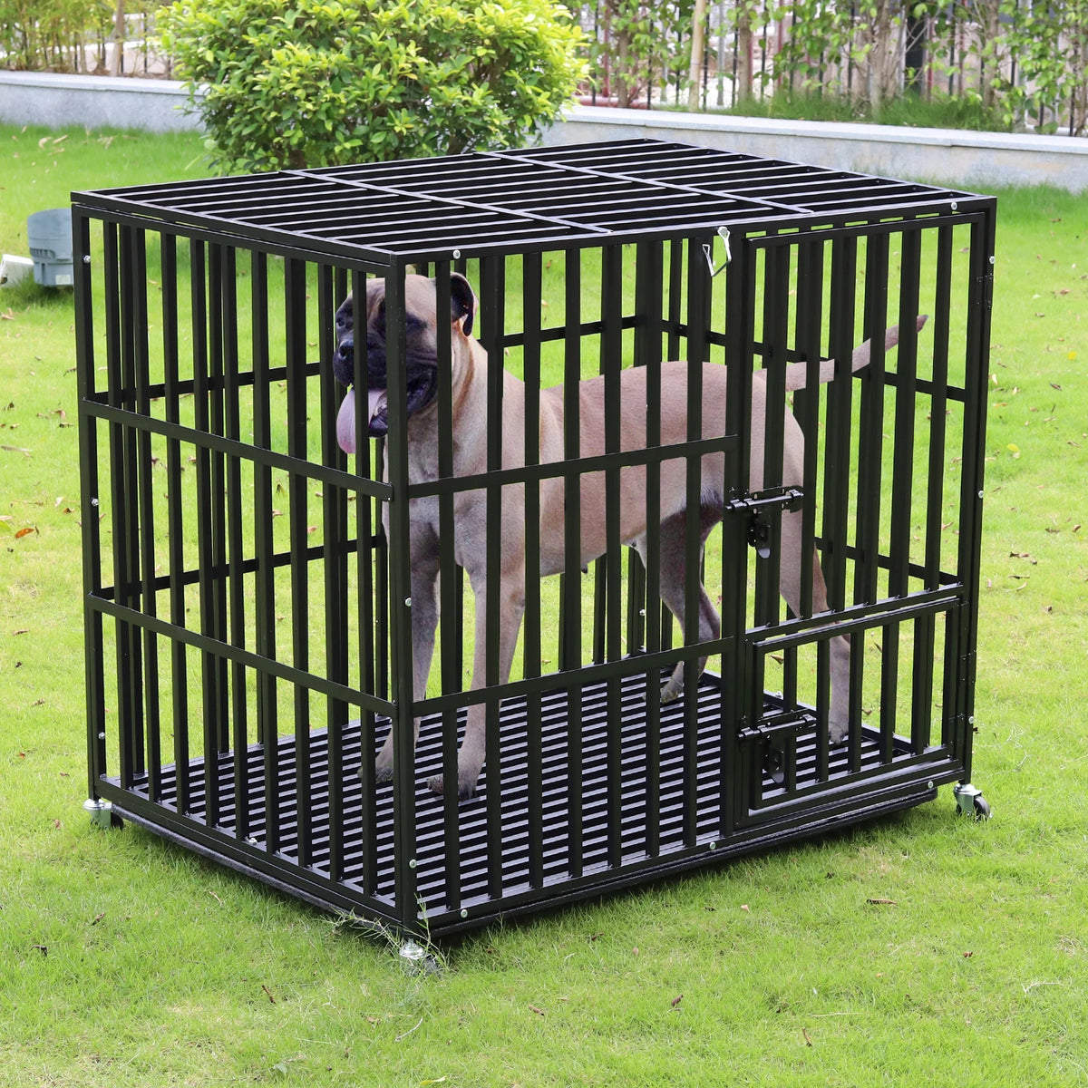 Bingopaw Heavy Duty Metal Dog Kennel With Removable Tray