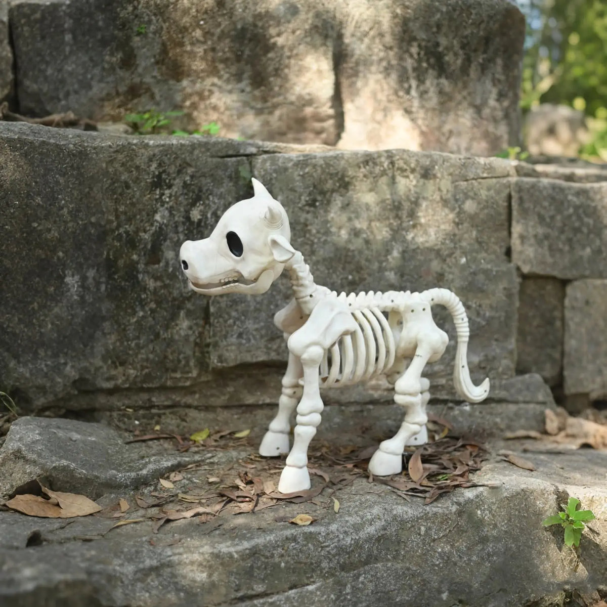 Halloween Skeleton Cow Decor With Realistic Bone Appearance for Indoor Use