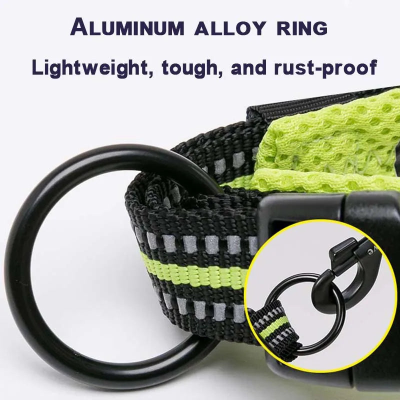 Winhyepet Padded Nylon Dog Collar With Secure Buckle For Walking
