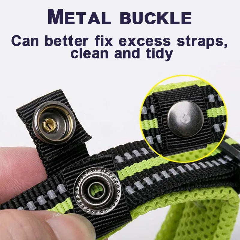 Winhyepet Padded Nylon Dog Collar With Secure Buckle For Walking