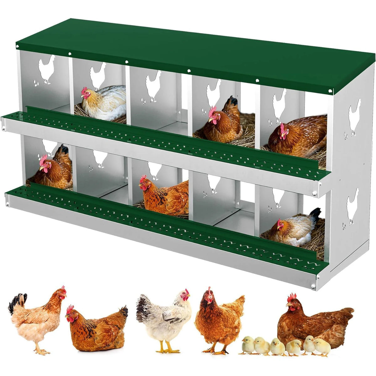 HiMISS Galvanized Steel Chicken Nesting Boxes With Rollout Egg Collection