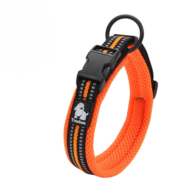 Winhyepet Padded Nylon Dog Collar With Secure Buckle For Walking