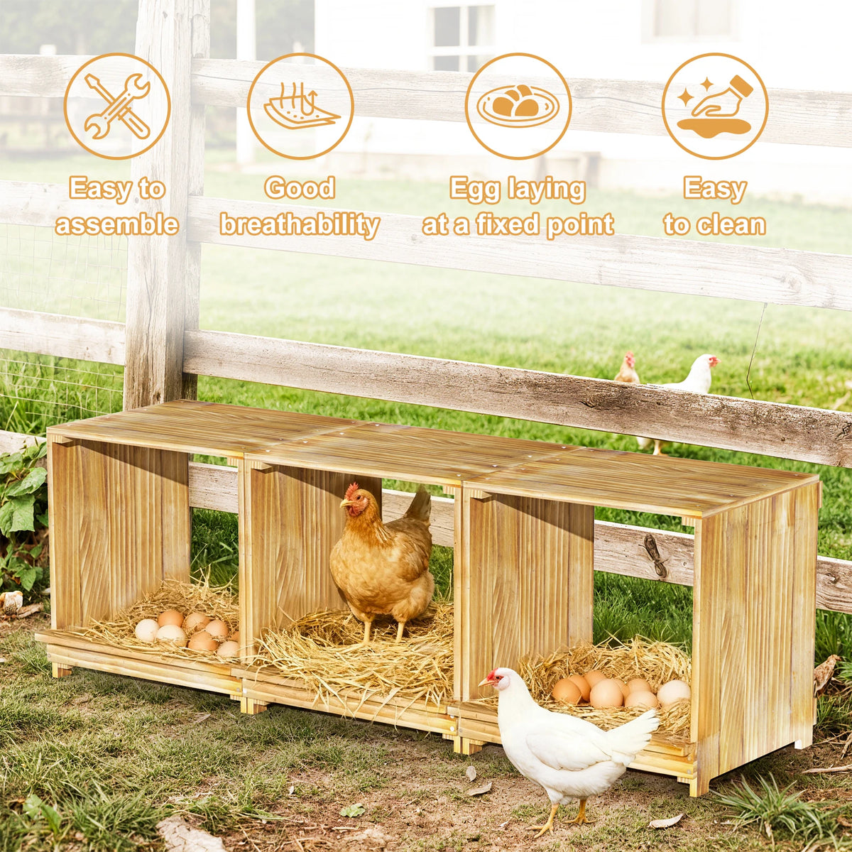 Wooden Chicken Nesting Box With Three Egg Compartments
