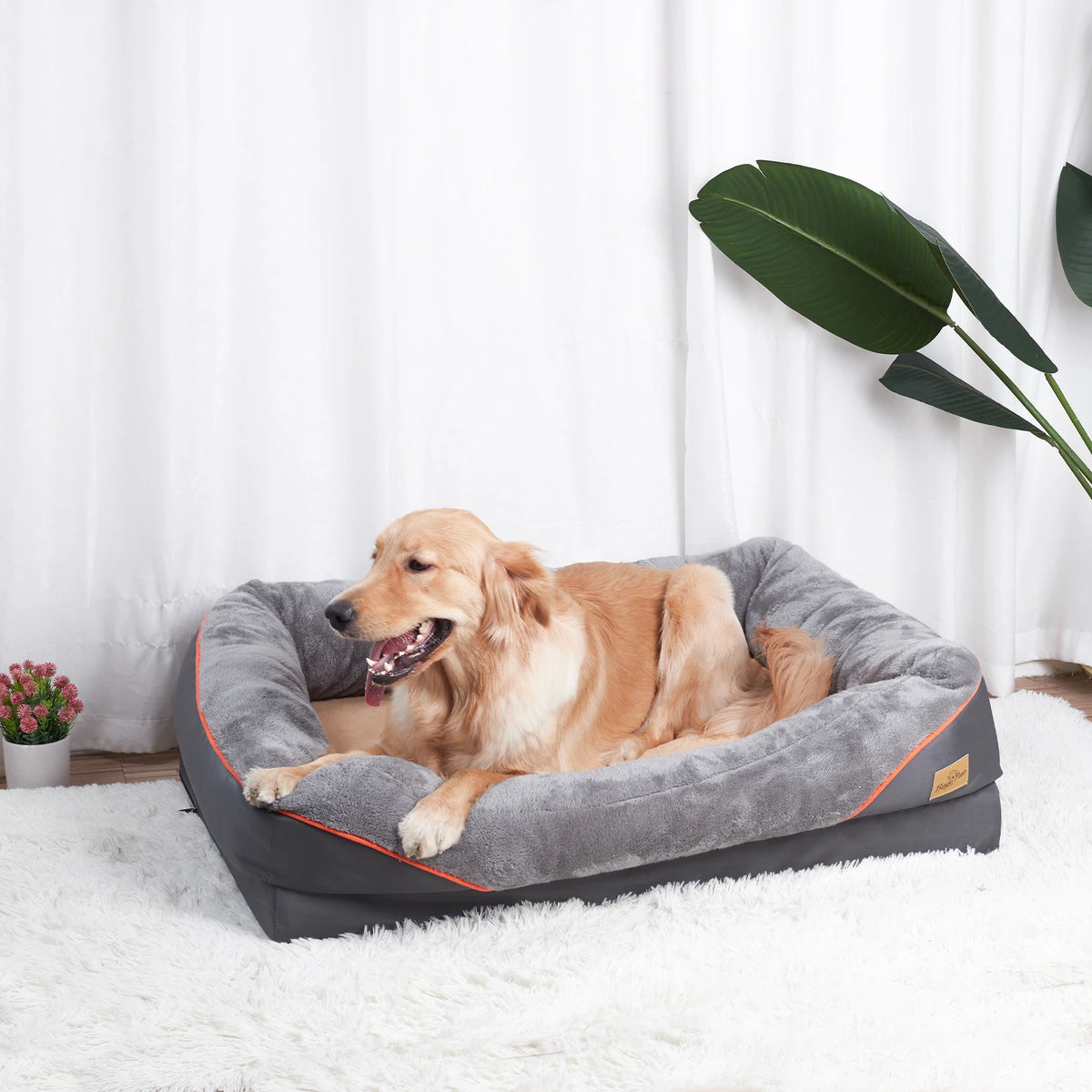 BINGOPAW Washable Waterproof Foam Dog Bed With Removable Fleece Cover