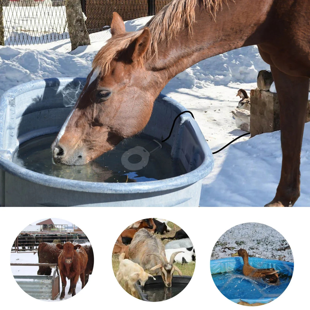 Submersible Cast Aluminum Thermostatic Bird Bath Heater De-Icer for Livestock
