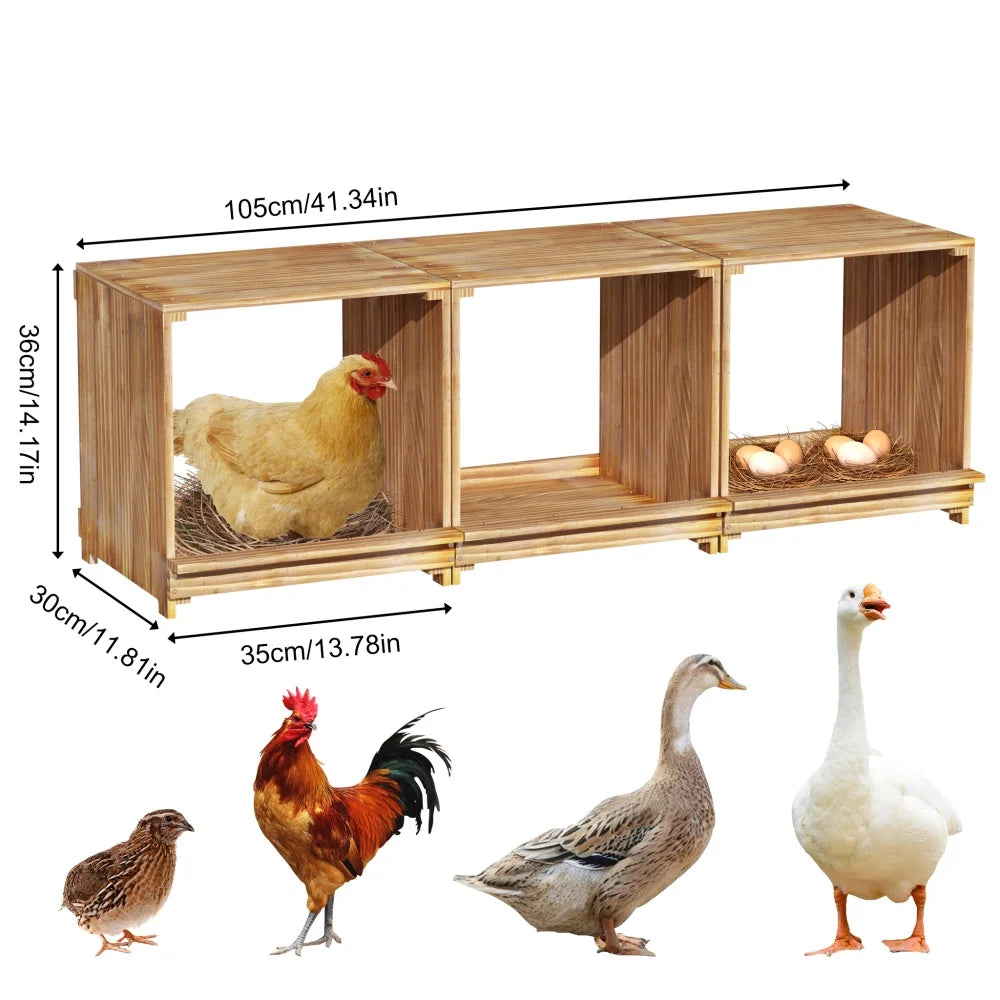 Wooden Chicken Nesting Box With Three Egg Compartments