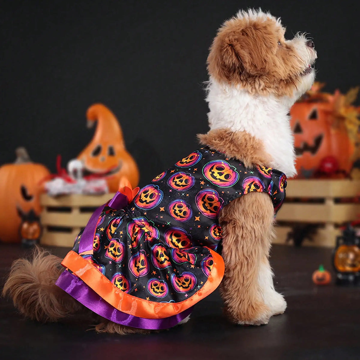 Funny Halloween Pumpkin and Skull Print Dog Dress with Bowknot