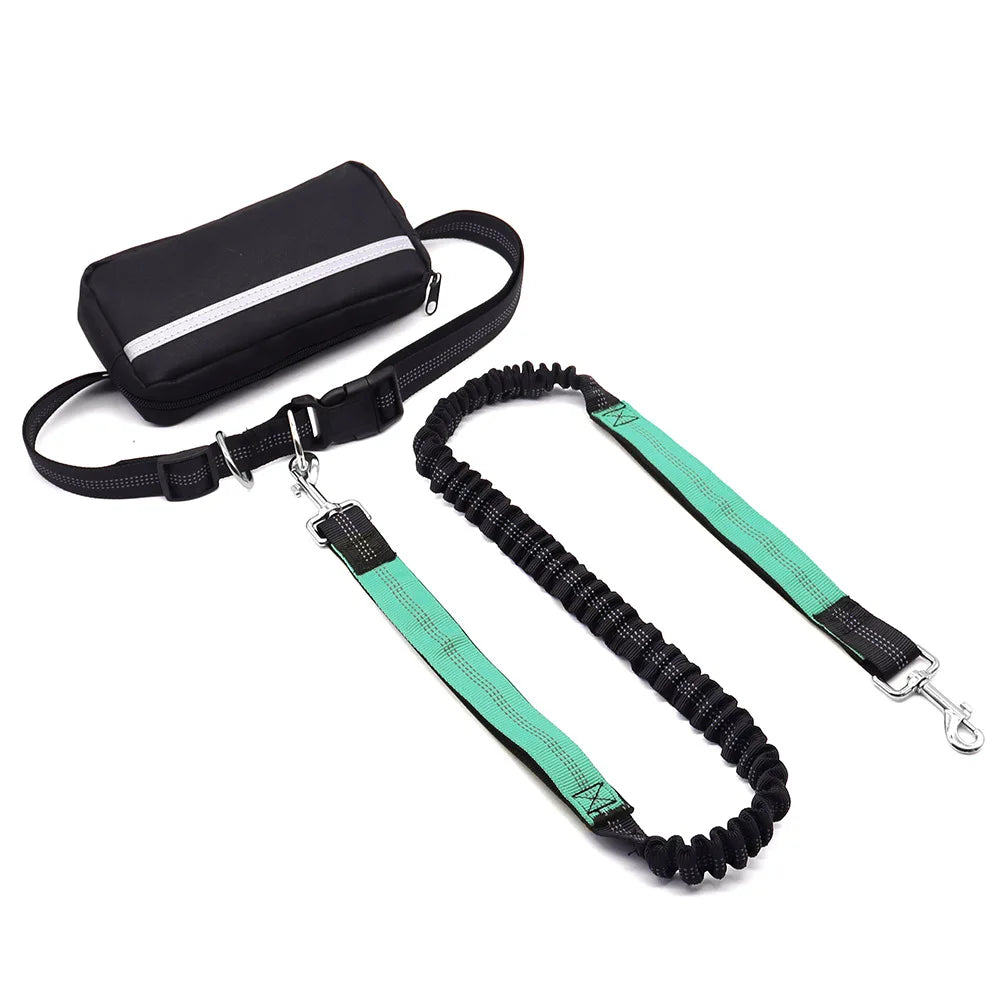 Hands Free Dog Leash With Waist Belt And Zipper Pouch