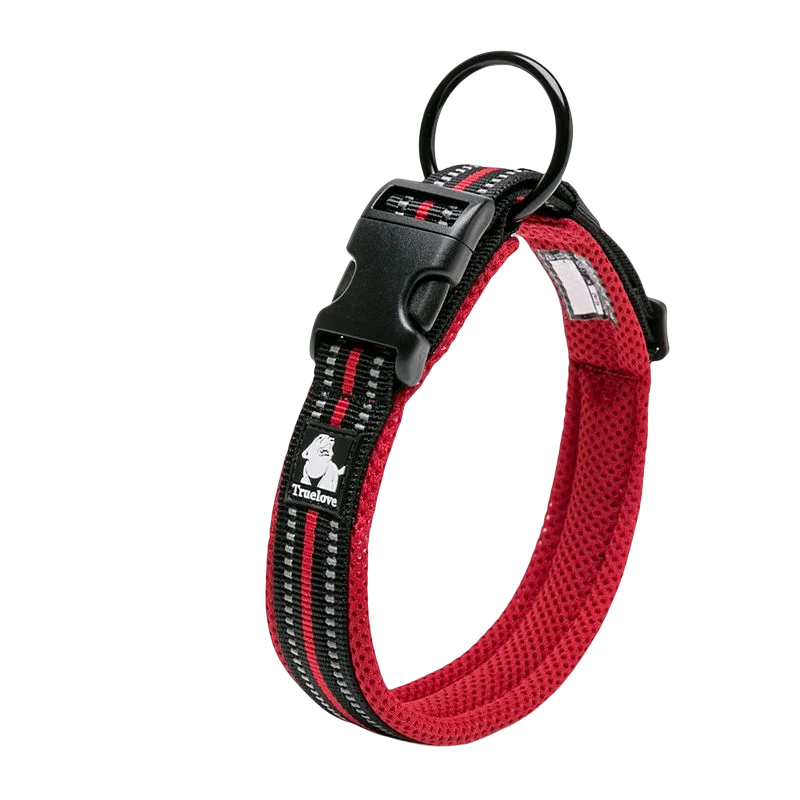 Winhyepet Padded Nylon Dog Collar With Secure Buckle For Walking