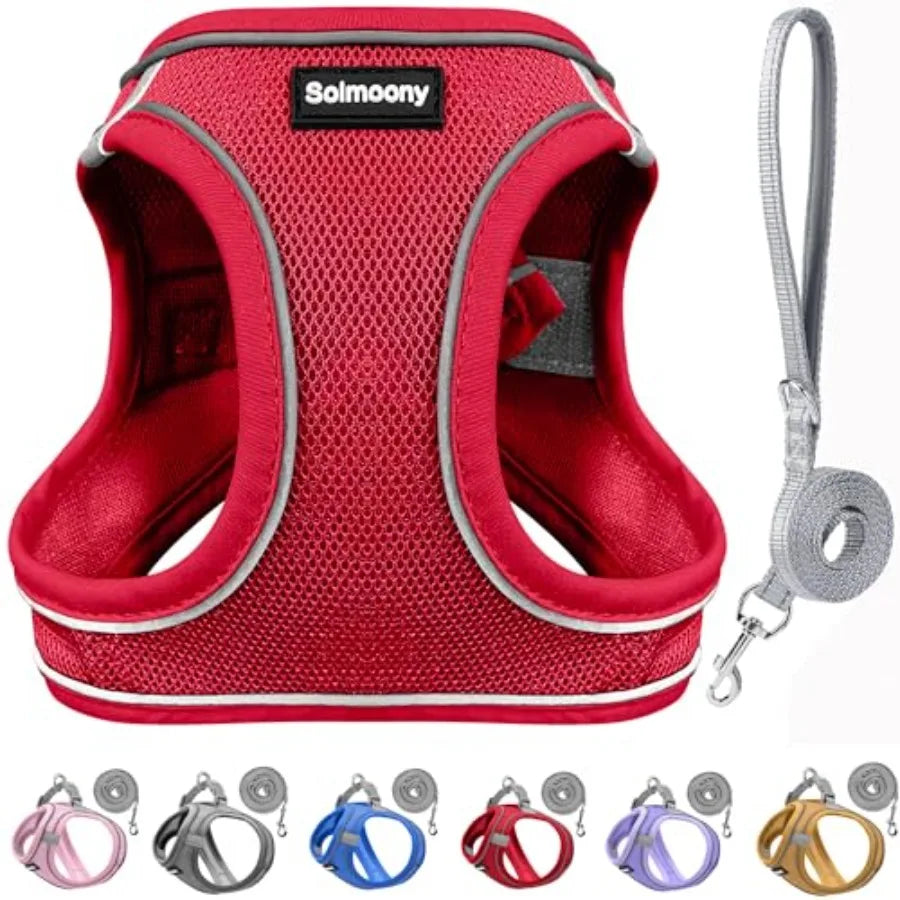 Sparkly Reflective Step In Dog Harness and Leash Set for Puppies