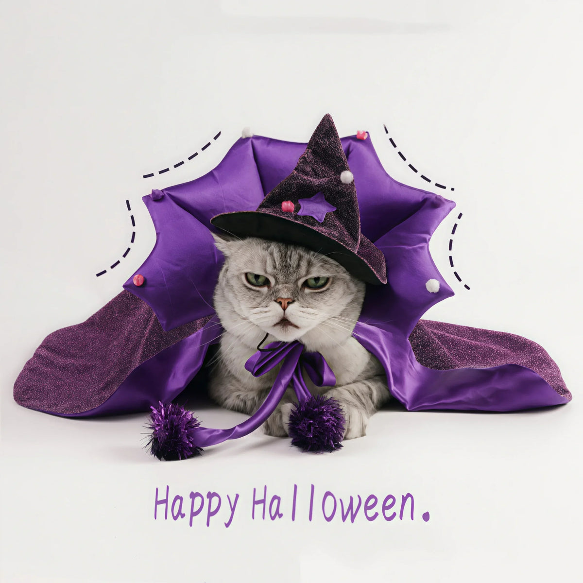 Halloween Witch Costume With Cloak And Hat For Pets