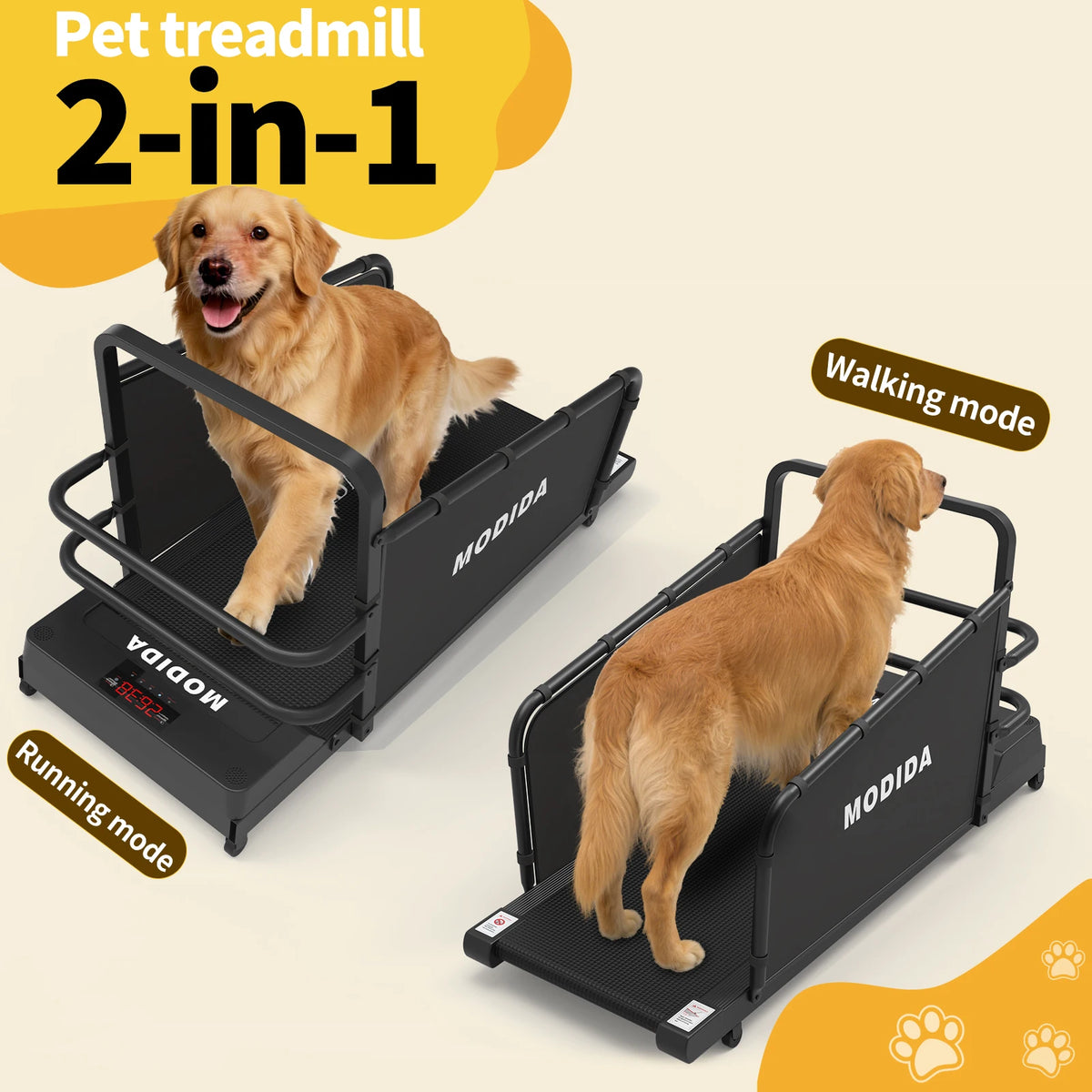 MODIDA Indoor Dog Treadmill for Adjustable Speed Home Exercise