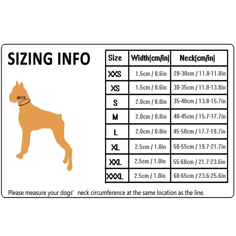 Winhyepet Padded Nylon Dog Collar With Secure Buckle For Walking