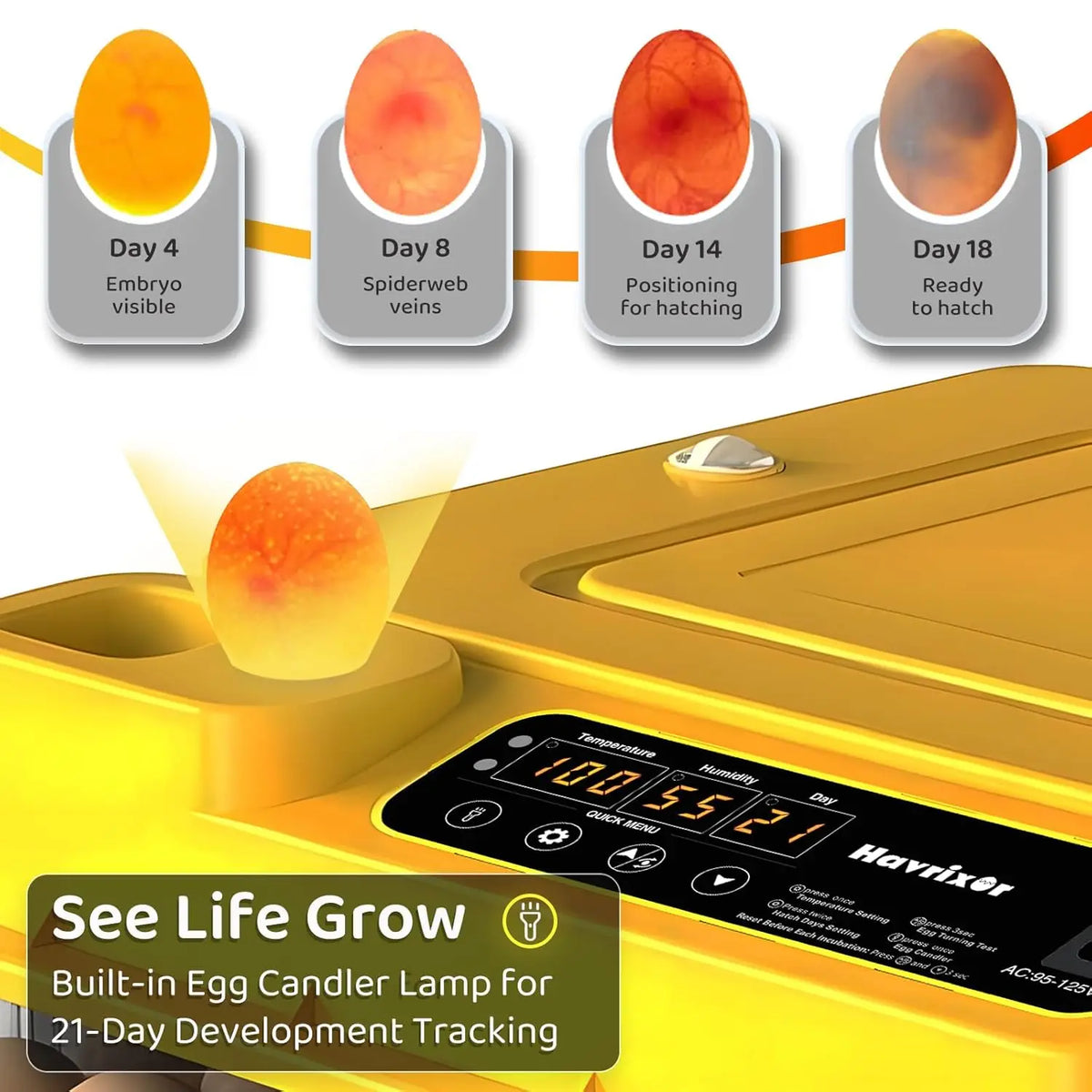 Automatic Egg Incubator For Hatching With Temperature Water And Turning Control