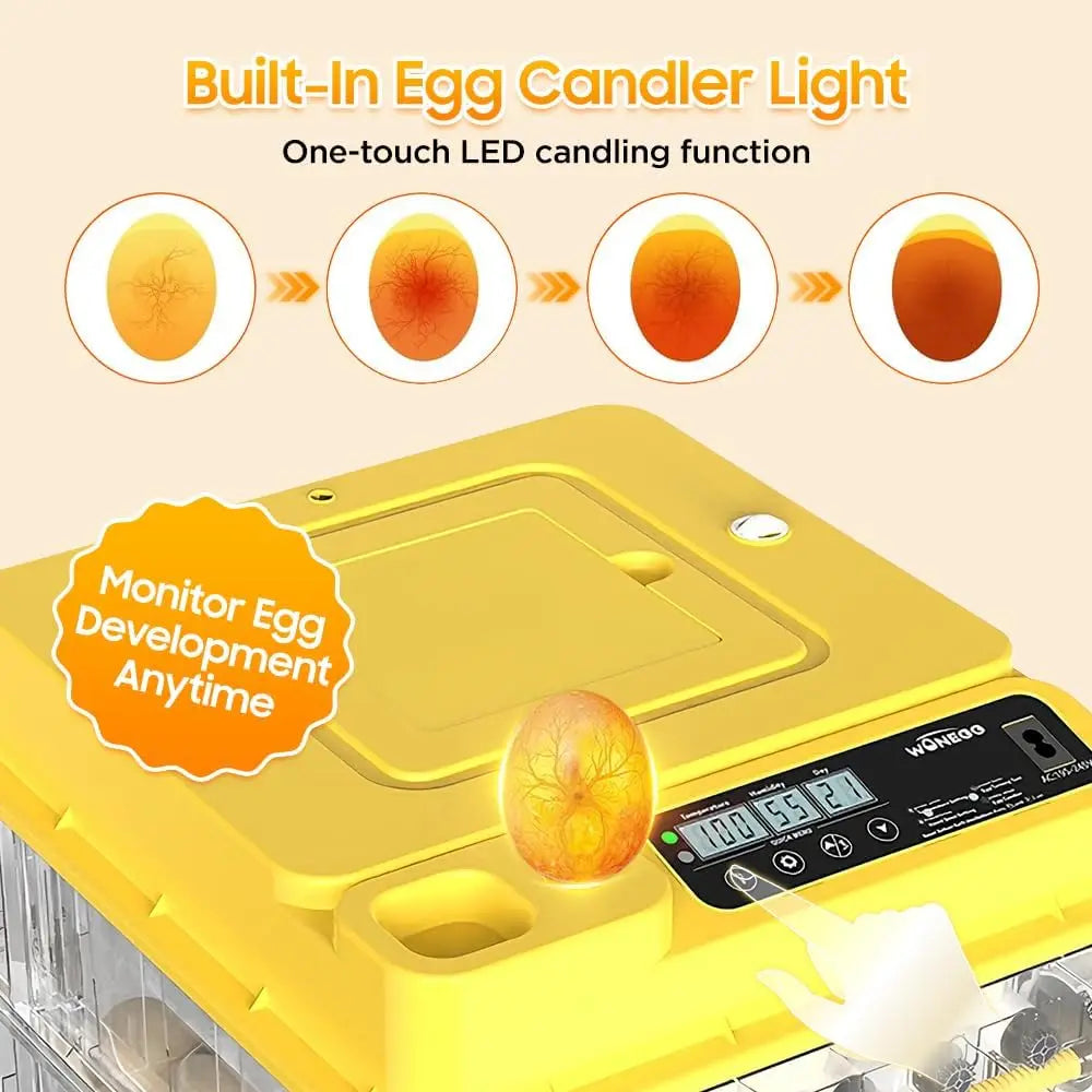 Automatic Egg Incubator For Hatching With Temperature Water And Turning Control