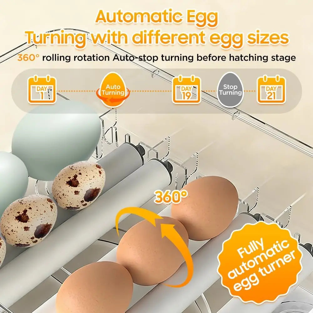 Automatic Egg Incubator For Hatching With Temperature Water And Turning Control