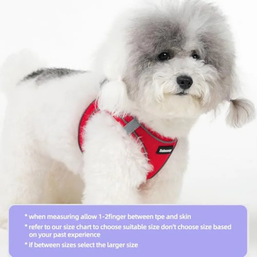Sparkly Reflective Step In Dog Harness and Leash Set for Puppies