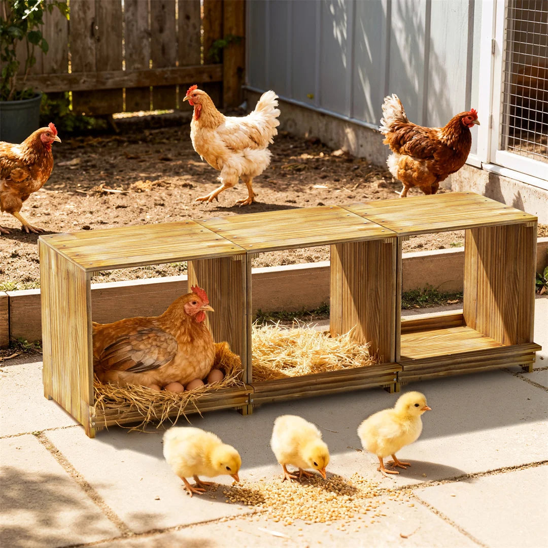 BINGOPAW Pine Wood Chicken Nesting Box With Three Egg Compartments