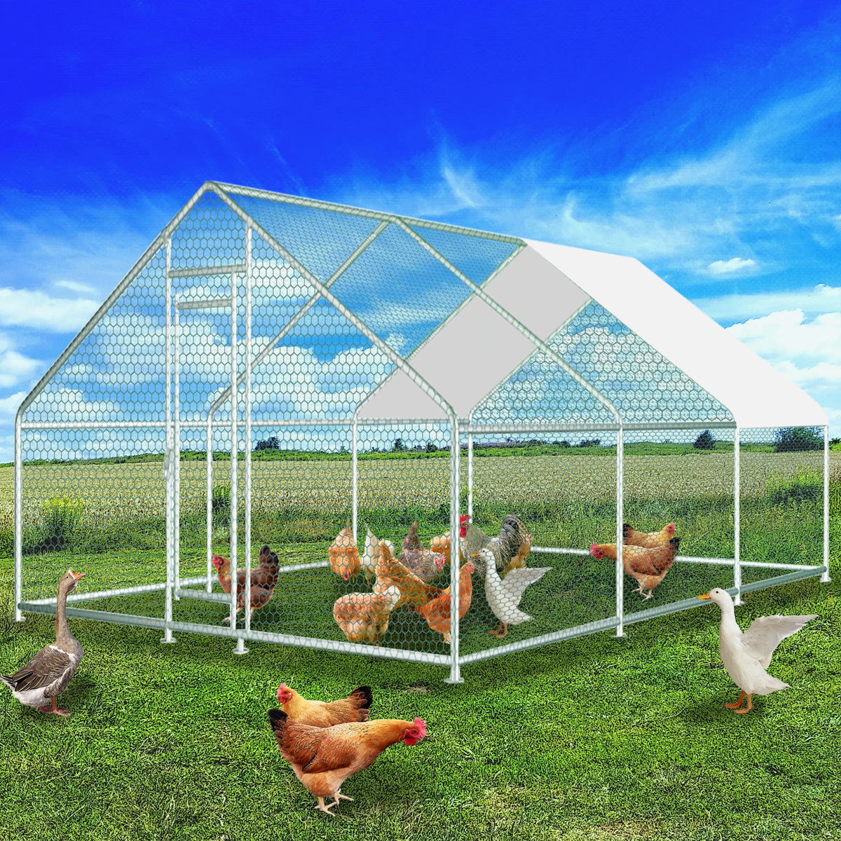 Heavy Duty Galvanized Metal Chicken Coop Run With Weather Resistant Roof