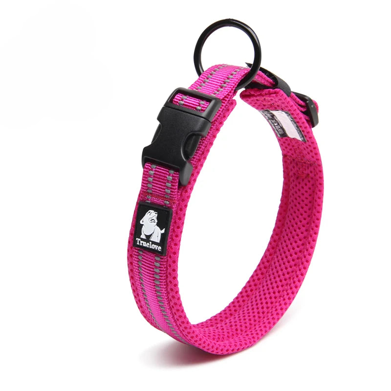 Winhyepet Padded Nylon Dog Collar With Secure Buckle For Walking