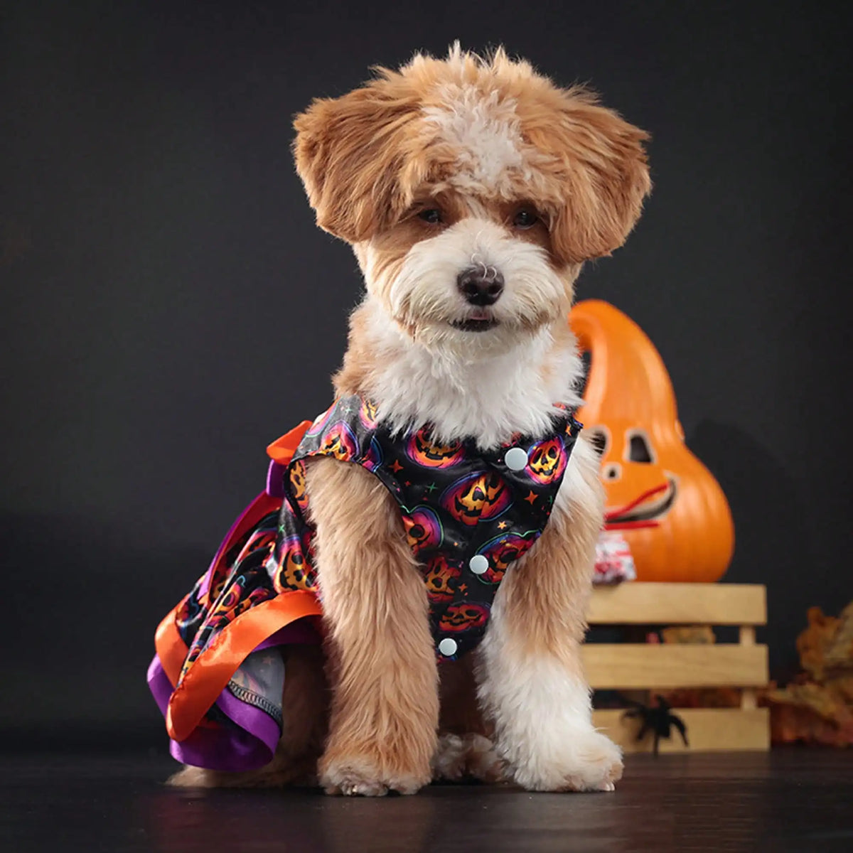 Funny Halloween Pumpkin and Skull Print Dog Dress with Bowknot