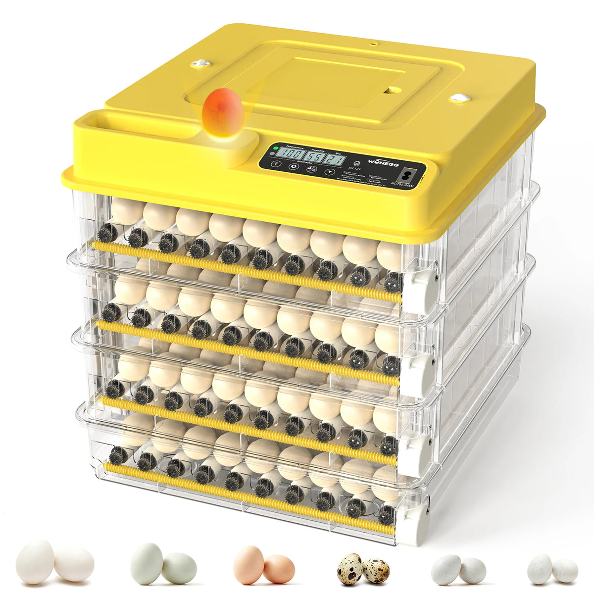 Automatic Egg Incubator For Hatching With Temperature Water And Turning Control