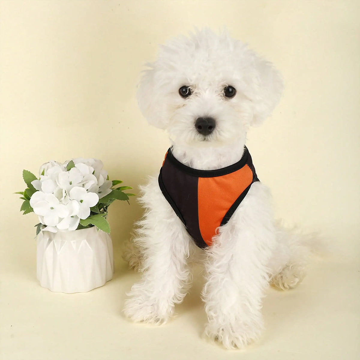 Funny Pumpkin Print Dog Shirt For Holiday Parties And Festivals