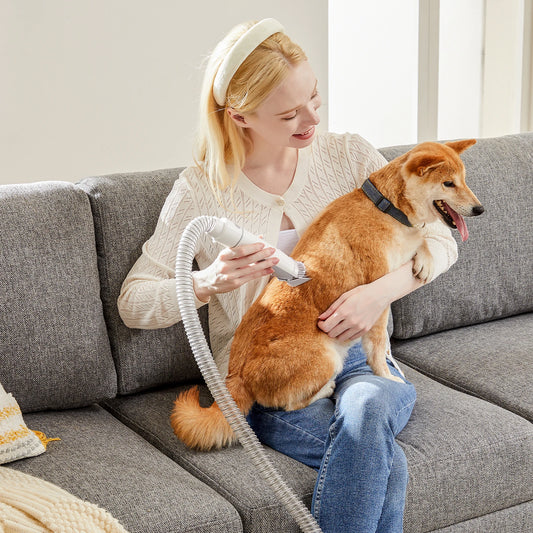 JHK Professional Pet Grooming Vacuum Kit With Clippers And Tools