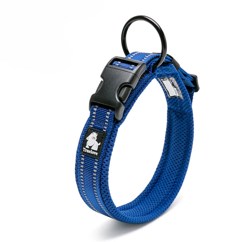 Winhyepet Padded Nylon Dog Collar With Secure Buckle For Walking