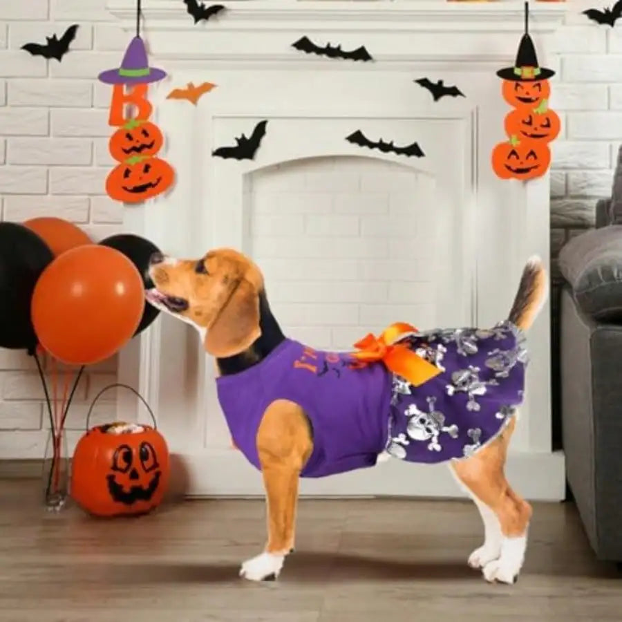 Funny Dog Halloween Costume Dress With Bow Pumpkin Witch Bat Outfit