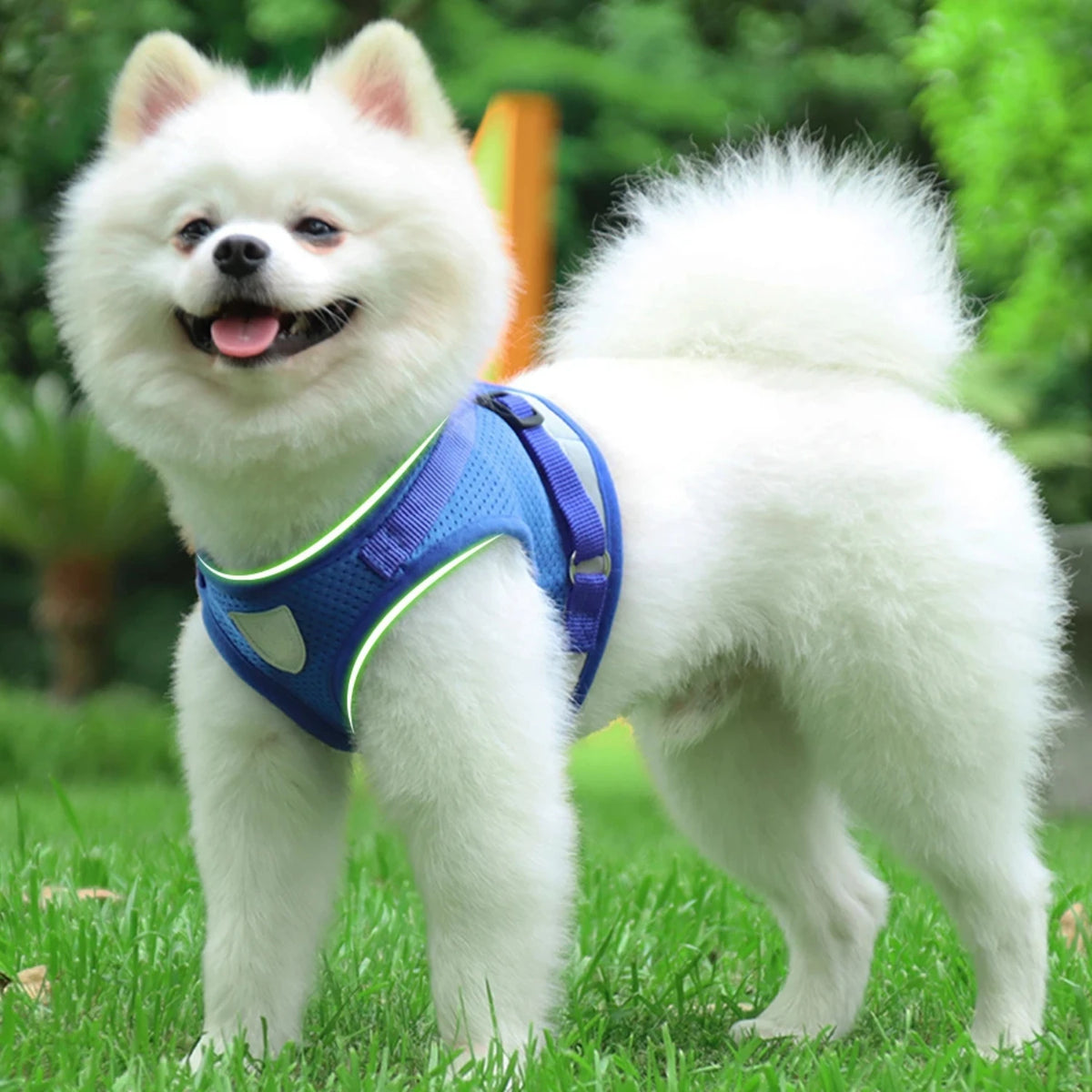 Adjustable Reflective Mesh Dog Harness Vest With Leash