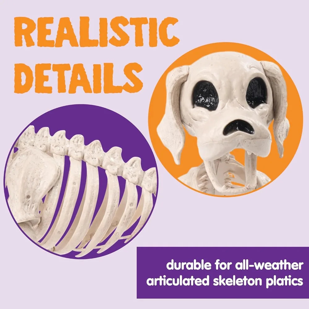 Posable Halloween Dog Skeleton Decoration With Movable Joints For Parties