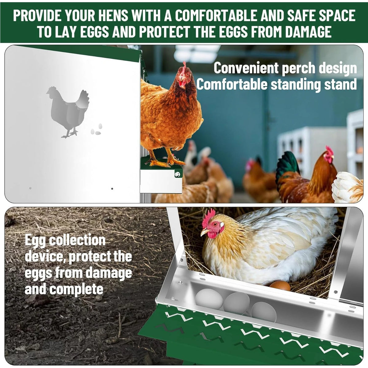 HiMISS Galvanized Steel Chicken Nesting Boxes With Rollout Egg Collection